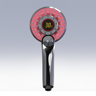 GTSHOWER Digital Temperature Displayed Handheld Shower Head W1